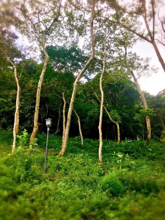 Wan Ruey Resort Hengshan Eksteriør billede